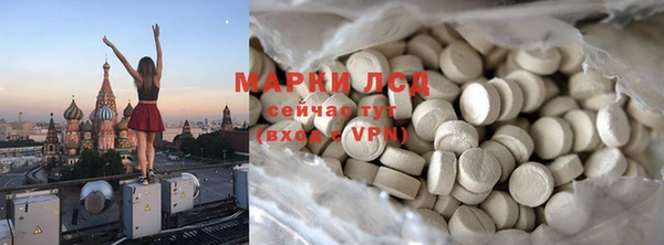 ECSTASY Лагань