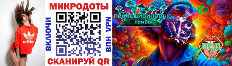 дарнет шоп  Макарьев  Псилоцибиновые грибы ЛСД 