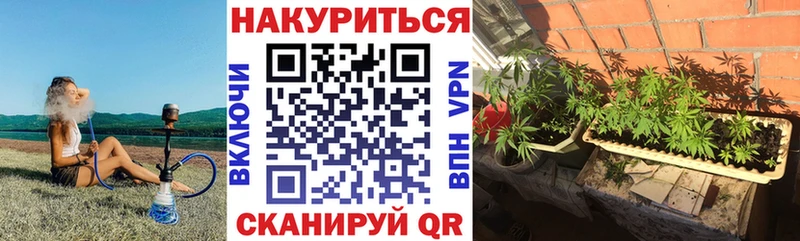 Каннабис SATIVA & INDICA Макарьев